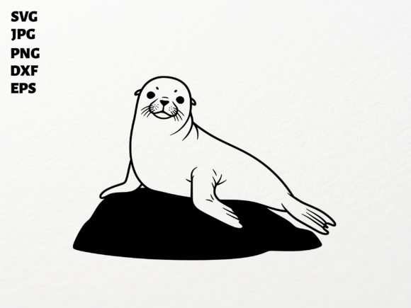 Download Sea Lion SVG for Cricut Sublimation PNG - Lion svg for cricut Collection